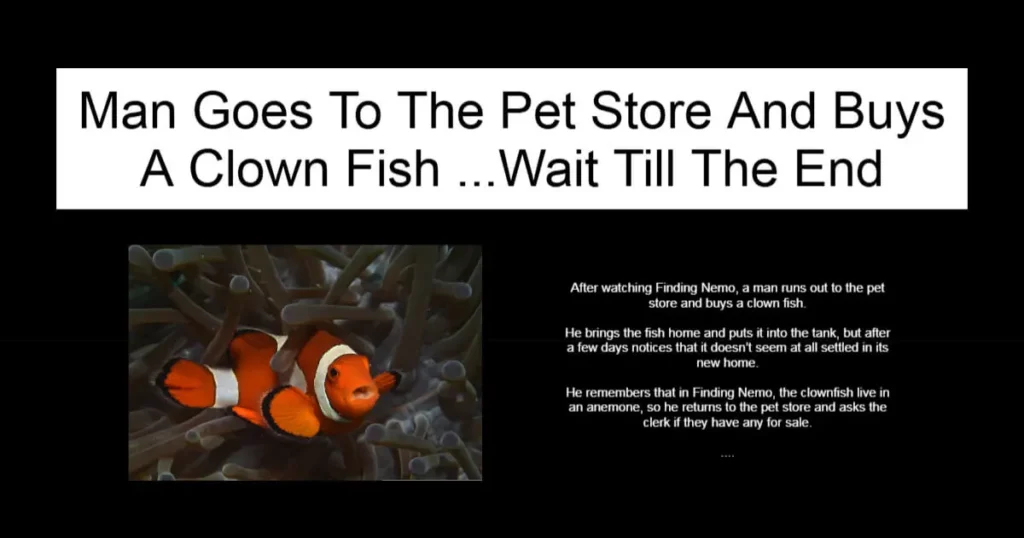 Man Goes To The Pet Store And Buys A Clown Fish