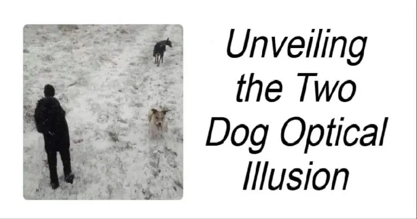 Two Dog Optical illusion 