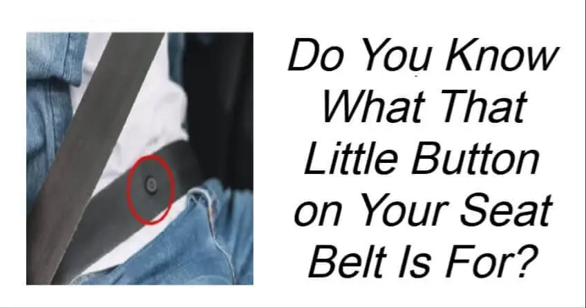 Little Button On Your Seat Belt