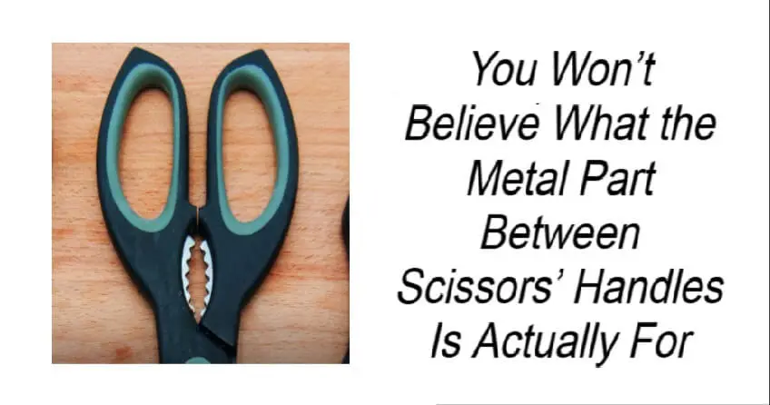 Metal Part Between Scissors