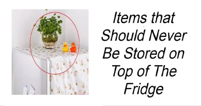 Items that Should Never Be Stored on Top of The Fridge