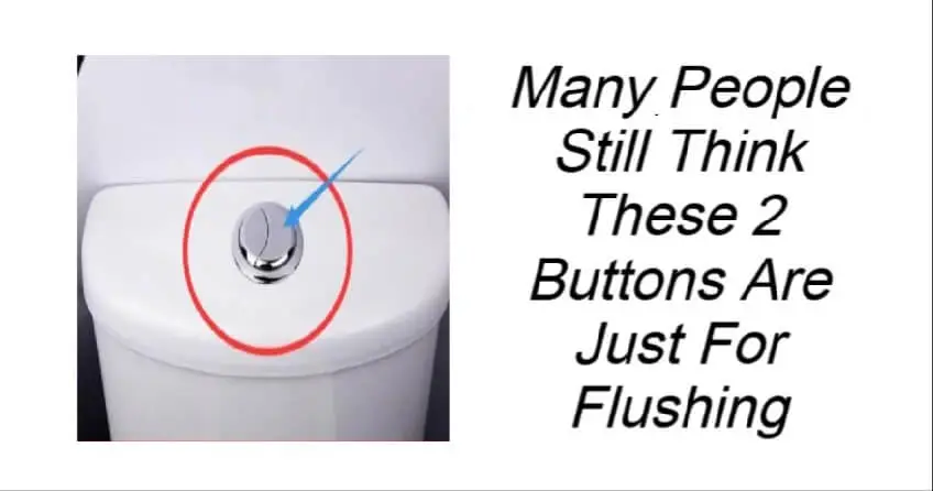 Reason For Second Button On Toilet