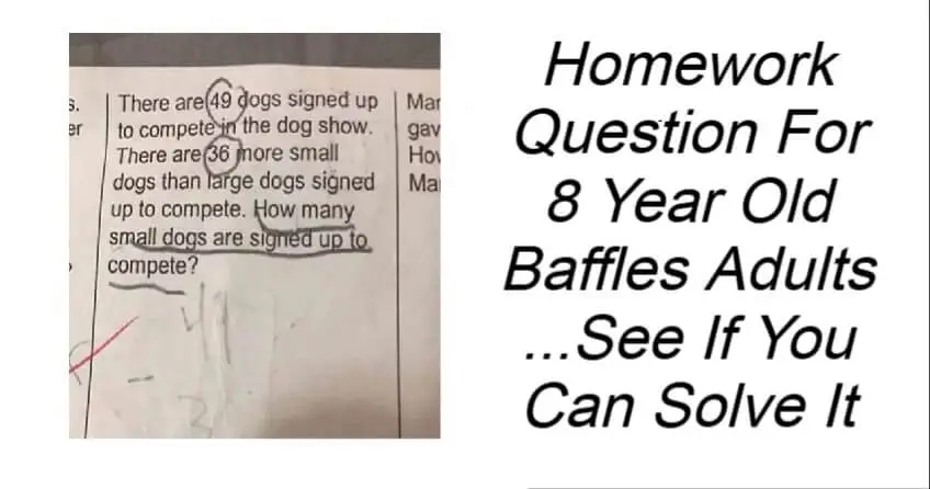 Homework Question For 8 Year Old Baffles Adults