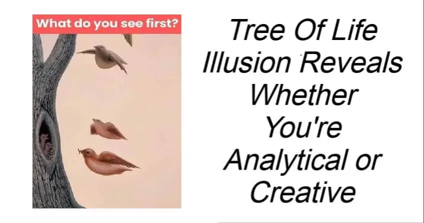 Tree Of Life Illusion Reveals Whether You're Analytical or Creative