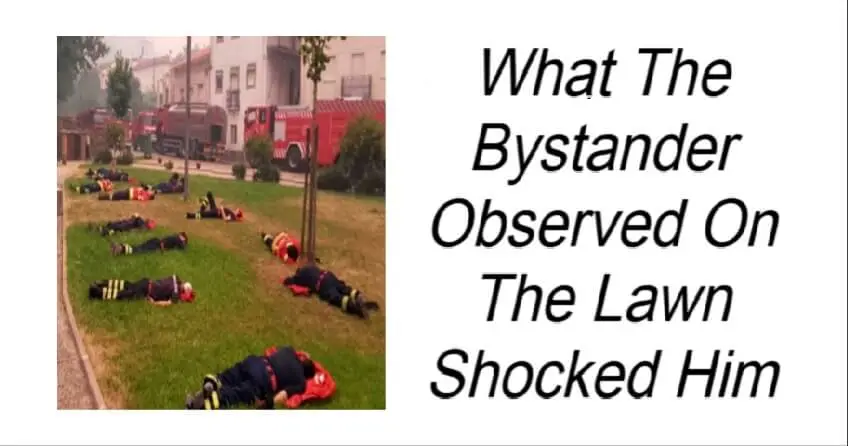 What The Bystander Observed On The Lawn Shocked Him