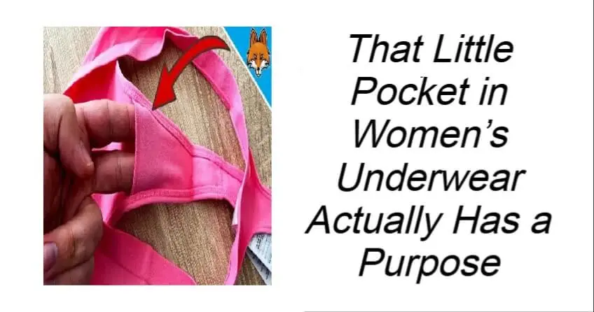 Little Pocket in Women’s Underwear