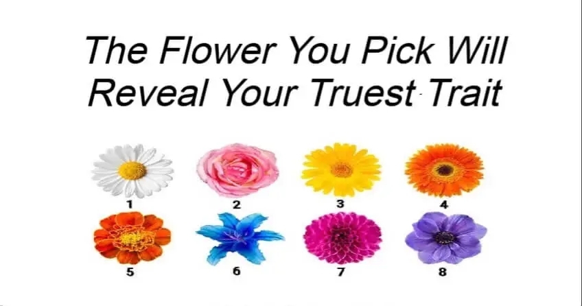 The Flower You Pick Will Reveal Your Truest Trait