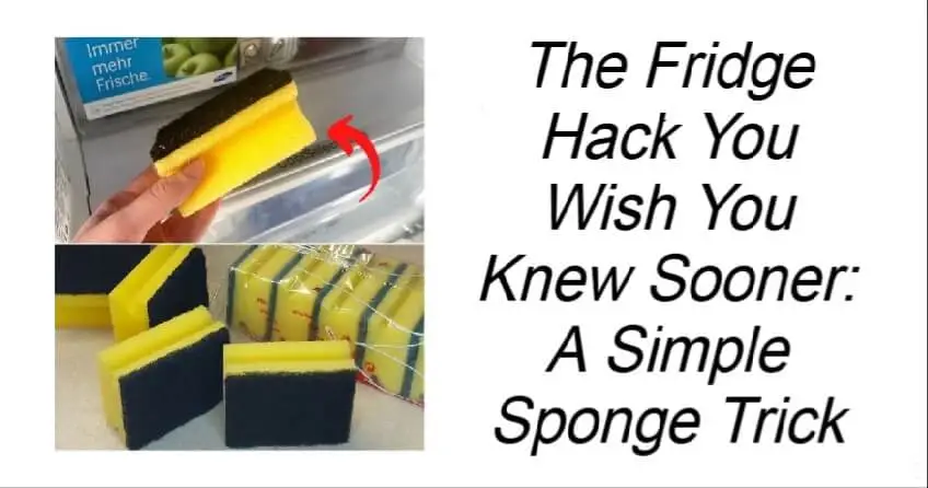 A Simple Sponge Trick For The Fridge