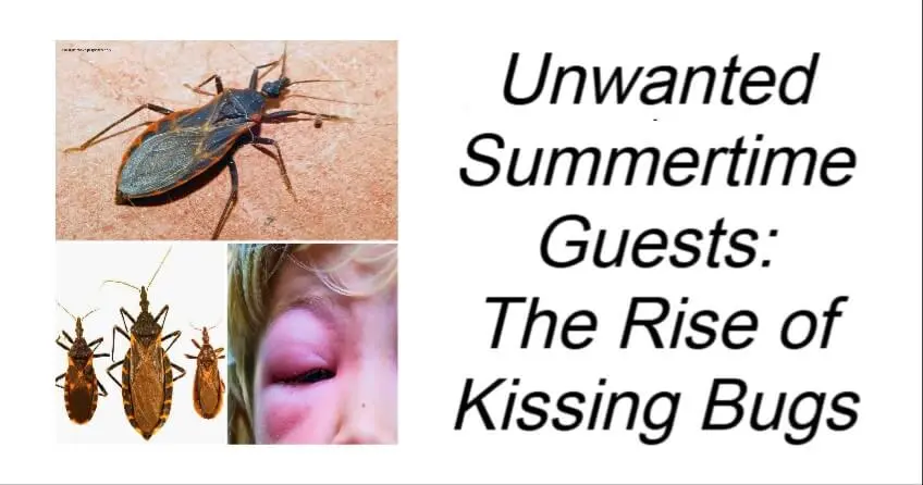 The Rise of Kissing Bugs