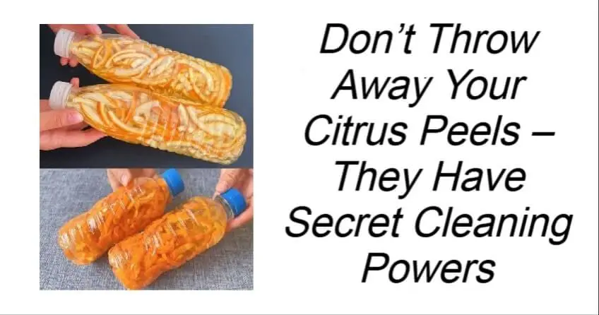 Don’t Throw Away Your Citrus Peels