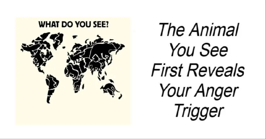 The Animal You See First Reveals Your Anger Trigger