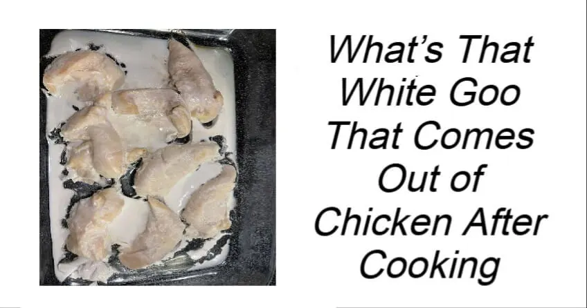 What’s That White Goo That Comes Out of Chicken After Cooking