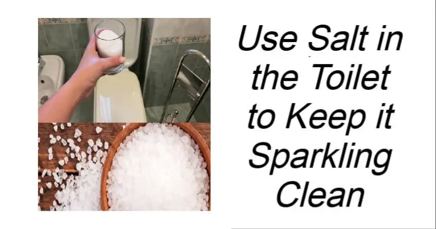 Use Salt in the Toilet to Keep it Sparkling Clean