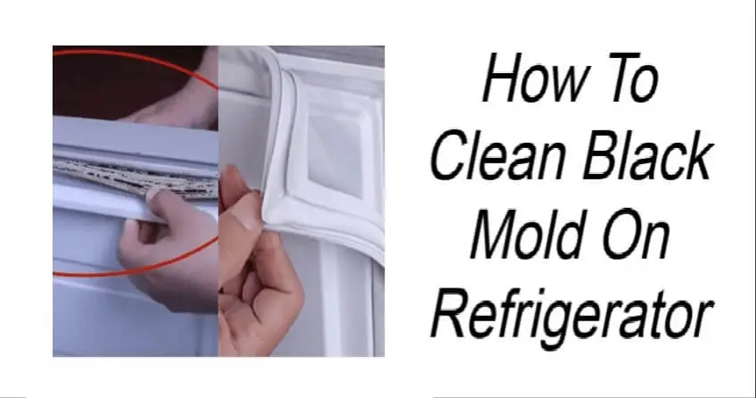 How To Clean Black Mold On Refrigerator