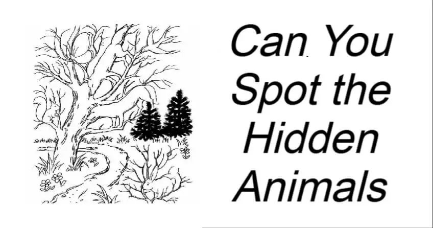 Can You Spot the Hidden Animals