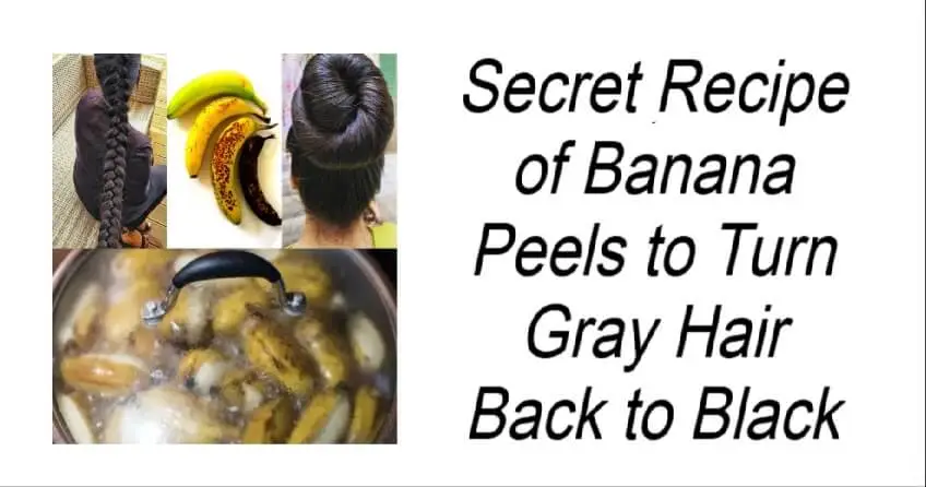 Secret Recipe of Banana Peels