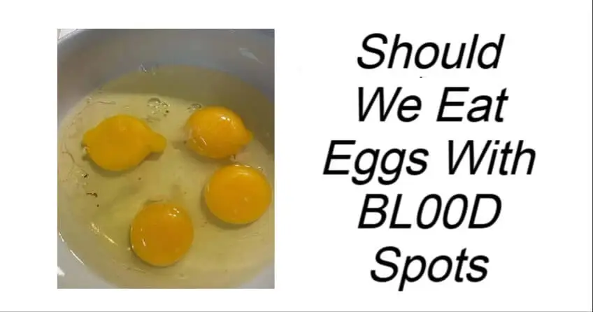 Should We Eat Eggs With BL00D Spots